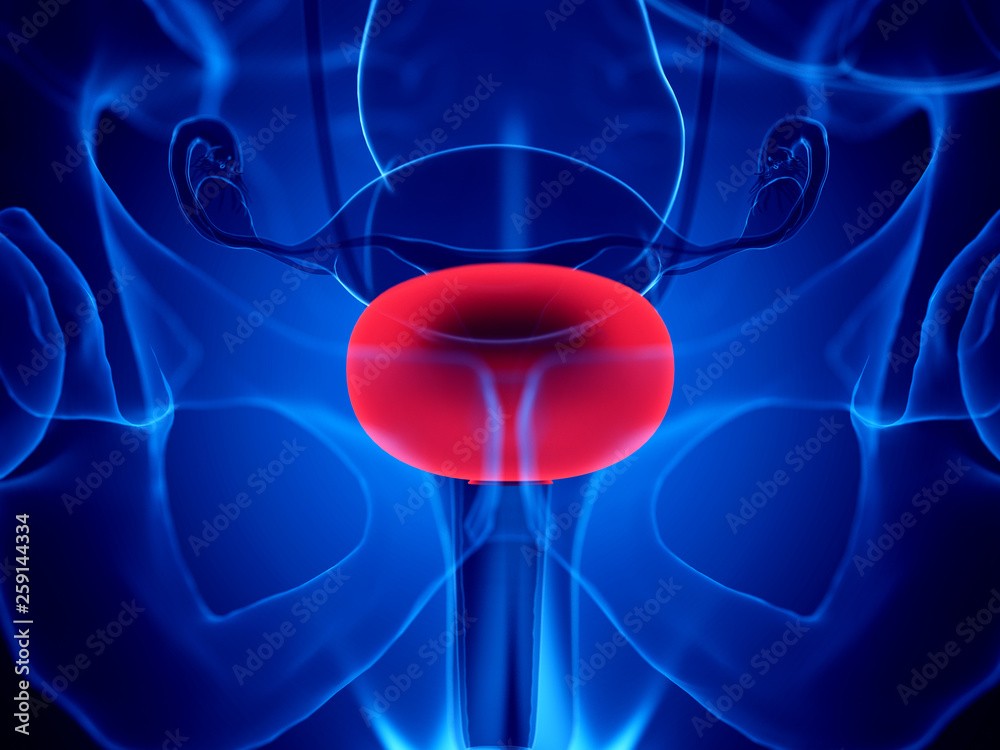 Neurologie